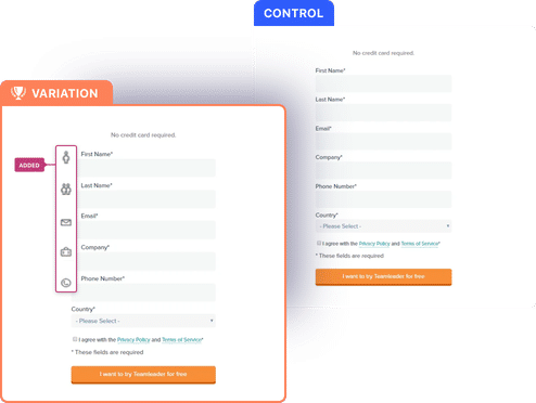 introduce icons to reduce form drop off